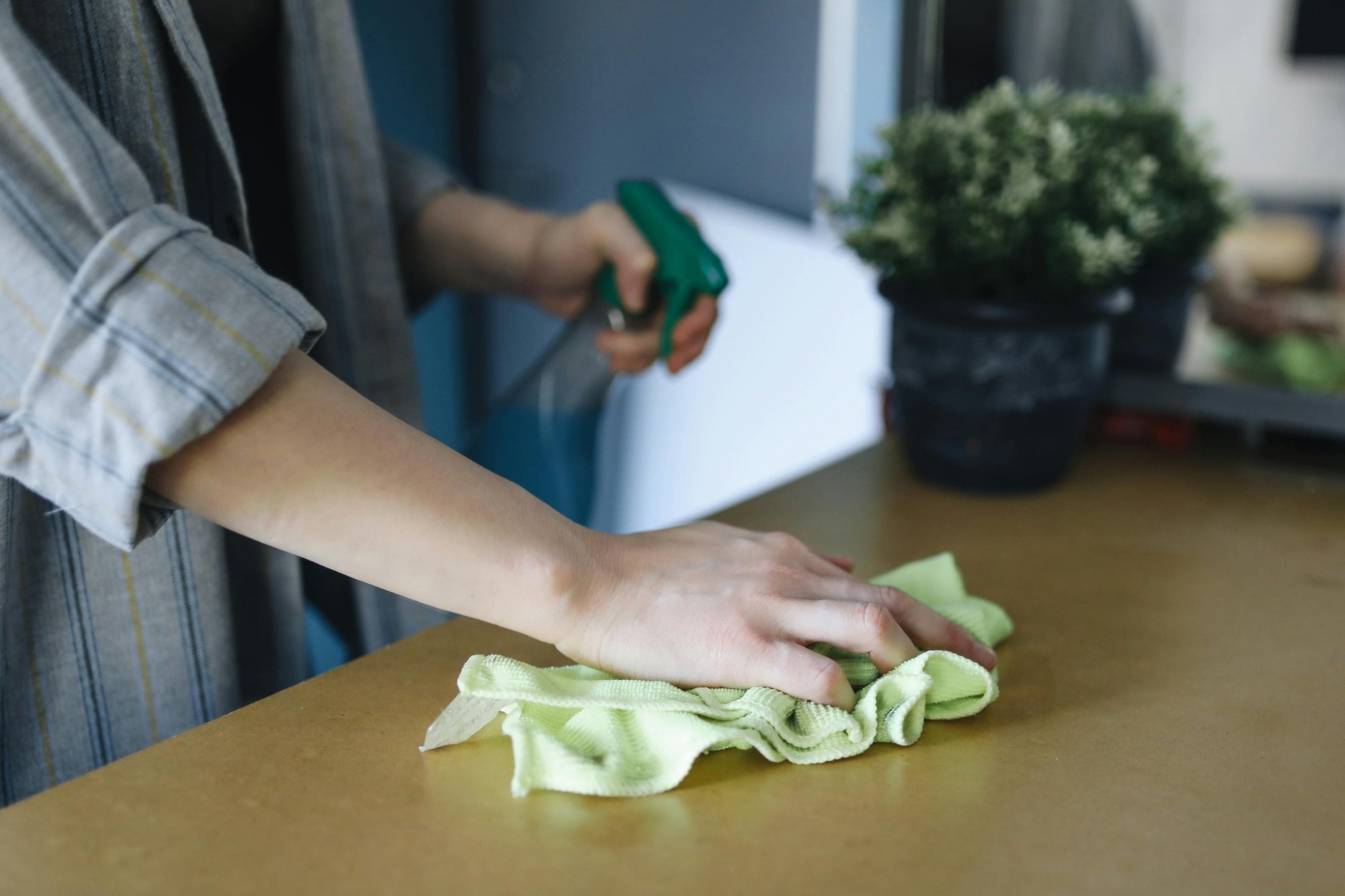 Eco cleaning for flea and tick control: Is it effective?