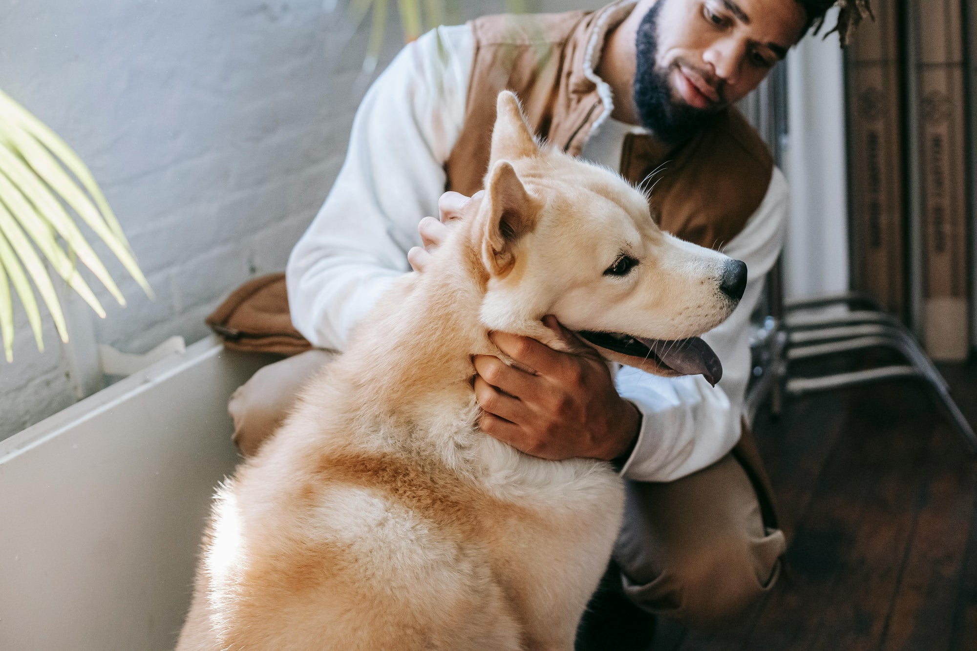 Winter parasite tips for Australian pets