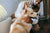Winter parasite tips for Australian pets